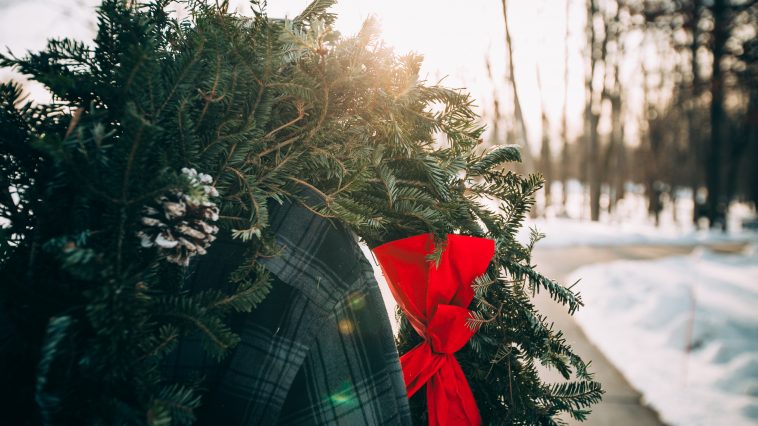 Photo by Adam Tarwacki on Unsplash