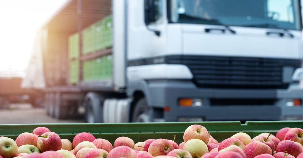 How To Ship Perishable Products for Small Businesses