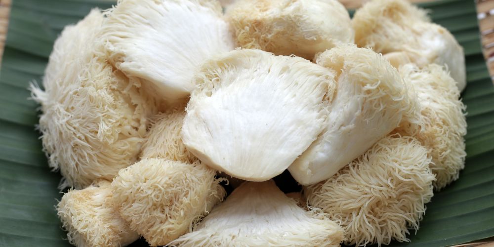 Tips for Preparing Lion’s Mane Mushrooms